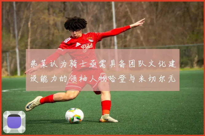 弗莱认为骑士亟需具备团队文化建设能力的领袖人物哈登与米切尔无法胜任