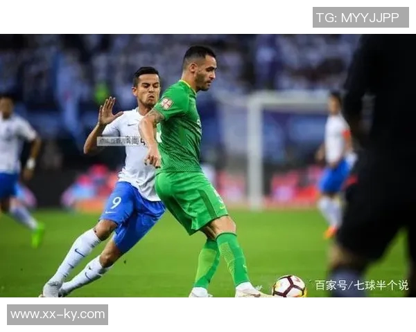 记者解读国安准入问题个别资料延误但很快补齐